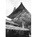 Kodak Snapic A1, valge