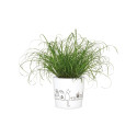 FLOWERPOT CERAMIC 870/13 CATVIEW D13
