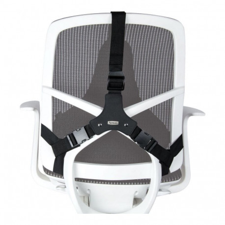 Ergonomic Back Support - Fellowes Mesh Pillow Adjustable Black