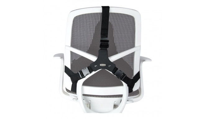 Ergonomic Back Support - Fellowes Mesh Pillow Adjustable Black