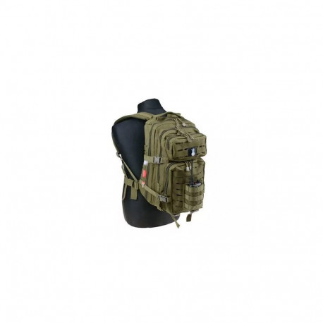 Tactical Backpack - Assault Pack 25L with Waist Belt and Pockets, Olive Green