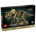 LEGO 77985 J.W. täpsustamisel (8.4.)