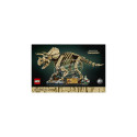 LEGO 77985 J.W. täpsustamisel (8.4.)