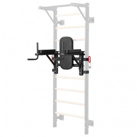 Dipiraam Dip Station for Wall Bars