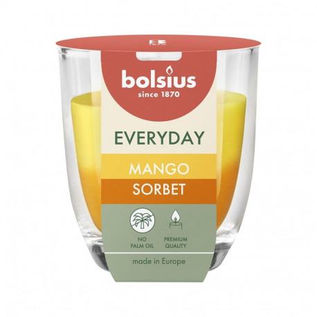 Lõhnastatud küünal H8CMD7CM mango sorbet