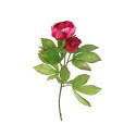 ARTIFICIAL FLOWER PEONY 8025.20 DA