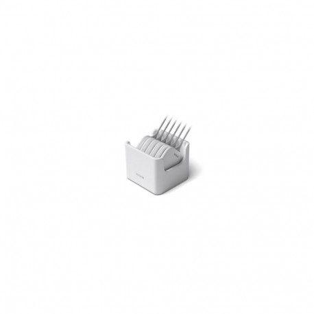 Epson ELPWP20 - Wireless Presentation System