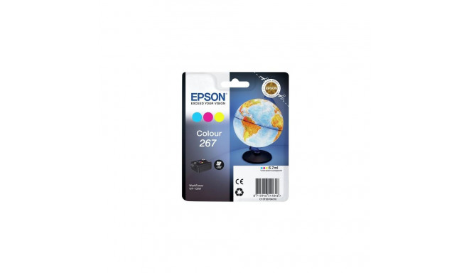 Epson Globe 267 Single Colour Ink