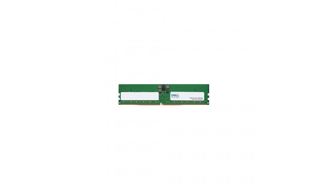 Server Memory Module|DELL|DDR5|16GB|RDIMM|4800 MHz|AC239377