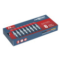 Alkaline Red (silber, 8 Stück, AA)