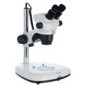 Levenhuk ZOOM 1B Binocular Microscope