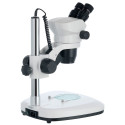 Levenhuk ZOOM 1B Binocular Microscope