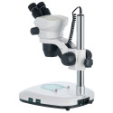 Levenhuk ZOOM 1B Binocular Microscope