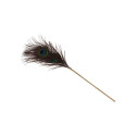 Peacock kõditaja