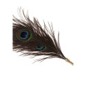 Peacock kõditaja