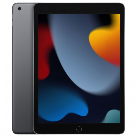 Apple iPad 10.2 Wi-Fi 256GB kosmosehall 9. põlvkond