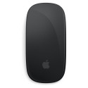 Apple Magic Mouse must Multi-Touch pind