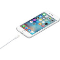 Apple Lightning - USB kaabel 1M jaemüügipakend