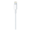 "Apple Lightning - USB Kabel 1M Retail"