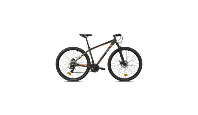 jalgratas CICLO 29 9321