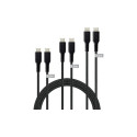 USB-C to USB-C Cable Set, black