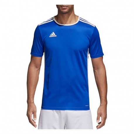 Adidas meeste särk Entrada 18 CF1037, sinine