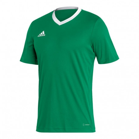 Adidas meeste särk Entrada 22 Jersey HI2123, roheline