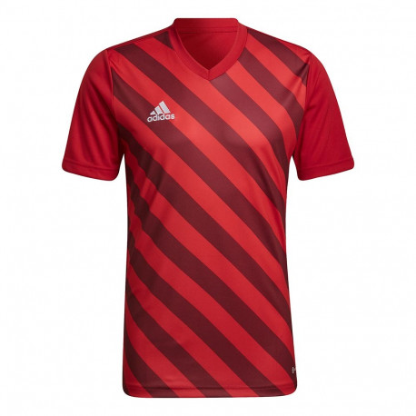 adidas meeste särk Entrada 22 Graphic Jersey HB0572, punane-bordoo