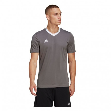 Adidas meeste särk Entrada 22 Jersey HE1574, hall