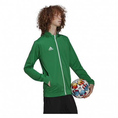 Adidas meeste pusa Entrada 22 Track Jacket HI2135, roheline