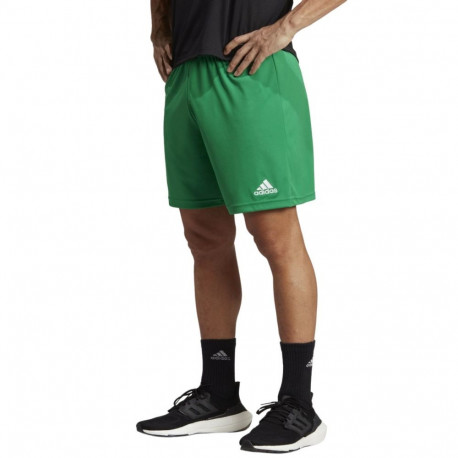 Adidas meeste lühikesed püksid Entrada 22 IC7405, roheline