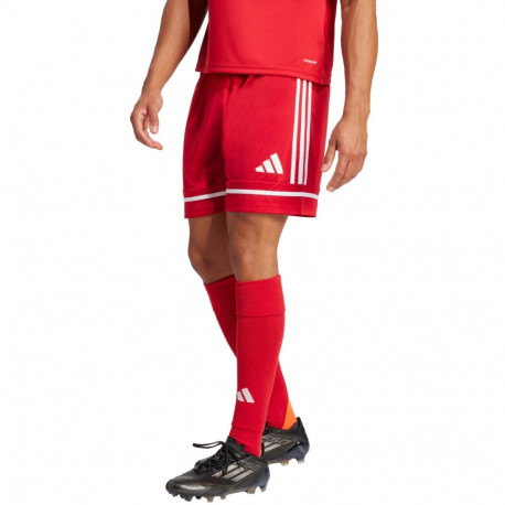 Adidas meeste lühikesed püksid Squadra 25 JN5466, punased
