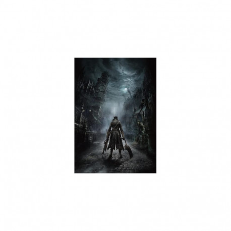 Sony Interactive Entertainment Bloodborne, PS4 Standard PlayStation 4