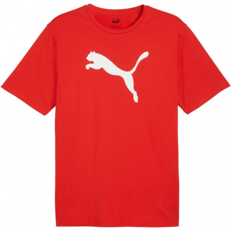 Puma meeste t-särk Team Rise Logo Jersey Cotton 658705 01, punane