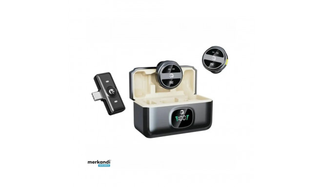 Hawk HW-MIC201 Digital Wireless Microphone Dual
