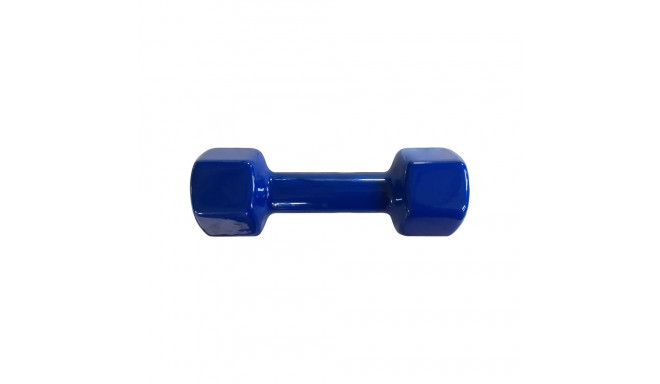 vinüül hantel LS2001 3kg