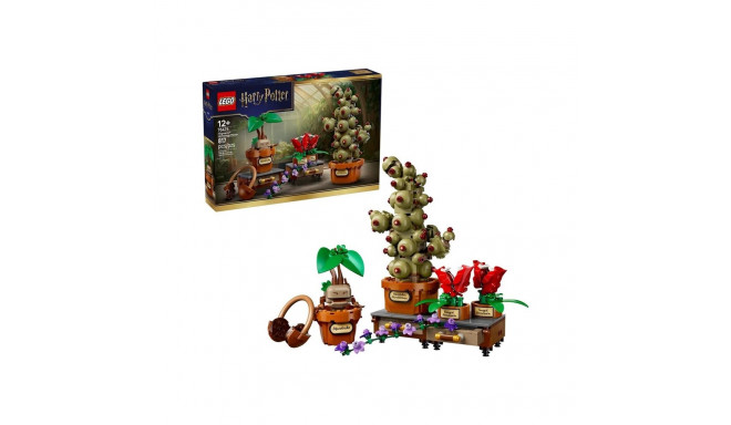CONSTRUCTOR HOGWARTS HERB PLANTS 76474