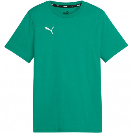 Puma laste särk Team Goal Casuals Tee 658616 05, roheline