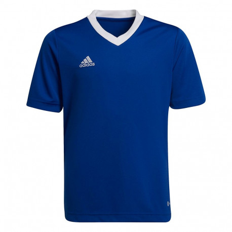 Adidas laste särk Entrada 22 Jsy HG3948, sinine