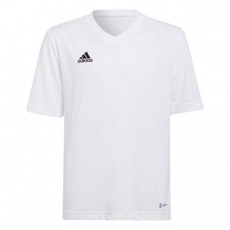 Adidas laste särk Entrada 22 Jsy HC5054, valge