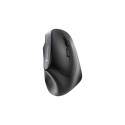 Input Device - Cherry Mouse MW 4500 Wireless, 1200 DPI, 2 Thumb Buttons, Black