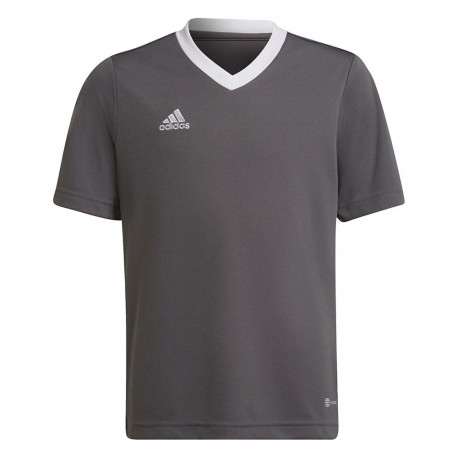 Adidas laste särk Entrada 22 Jsy H57499, hall