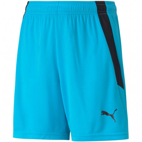 Puma laste lühikesed püksid teamLIGA Shorts Jr 704931 40, sinine