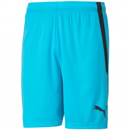 Puma meeste lühikesed püksid teamLIGA 704924 40, helesinine
