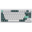Keychron Q1 HE 75% Magnetic Switch Shell White