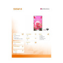 LG 55XS4P-B 4000cd/m2 24/7