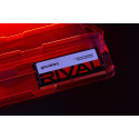 Memory DDR5 Rival SODIMM 32GB(1*32GB) CL40