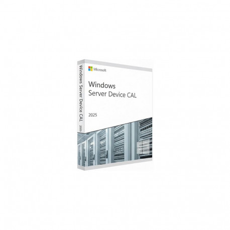 Microsoft WINSVR CAL 2025 10 seadet