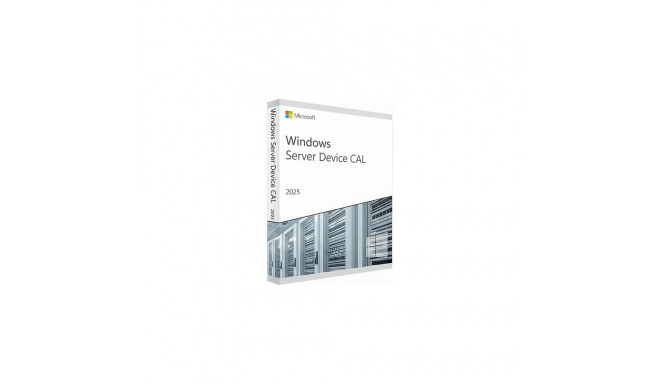 "Microsoft WINSVR CAL 2025 10Device"