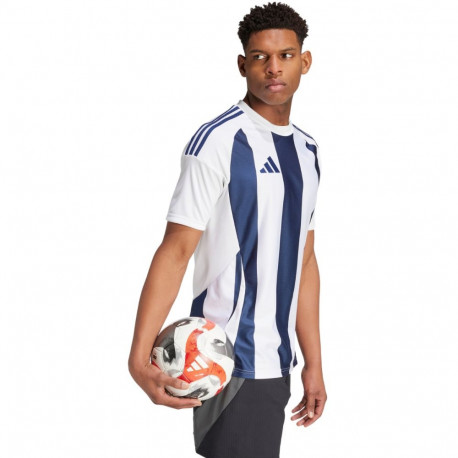 Adidas meeste särk Striped 24 Jersey IW4554, valge-sinine
